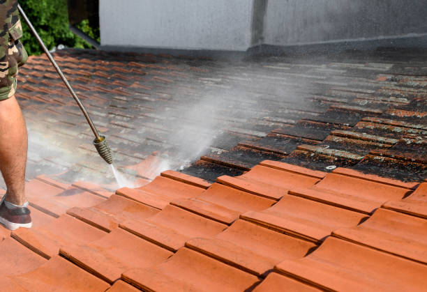 Local Pressure Washing Services